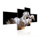 Arkiio Tavla Animal White Horses Galloping world- 100x45