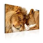Arkiio Tavla Love's Secret 120x80 A3-N6638-DKXL