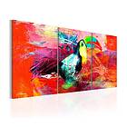 Arkiio Tavla Colourful Toucan 120x60 A3-N5589-DKX