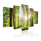 Arkiio Tavla Forest Kingdom 100x50 A3-N4395