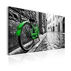 Arkiio Tavla Vintage Green Bike 60x40 A3-N6047