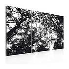 Arkiio Tavla Tät Skog 120x80