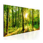 Arkiio Tavla Green Magic 135x45 A3-N6324