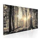 Arkiio Tavla Forest Sun 150x50 A3-N3990-DK150