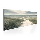 Arkiio Tavla Secrets of the Sea 120x40