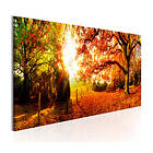 Arkiio Tavla Magic of Autumn 120x40