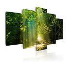 Arkiio Tavla Autumn Fores Sunshine Road 200x100 A3-N3779-DKX