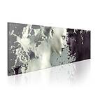 Arkiio Tavla Demons in your eyes... 120x40