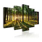 Arkiio Tavla Adventure In The Woods 100x50