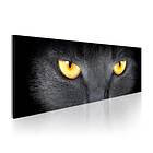 Arkiio Tavla Look Into My Eyes 120x40