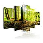 Arkiio Tavla Poetry Of A Forest 200x100