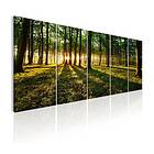 Arkiio Tavla Shade Of Trees 200x80
