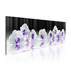 Arkiio Tavla Water Orchids 135x45 A3-N3826-DKX