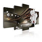 Arkiio Tavla Diamond Spots 200x100