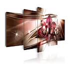 Arkiio Tavla Desert Wayfarer 200x100 A3-N4520-DKX