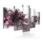 Arkiio Tavla Purple Sash 100x50 A3-N4048