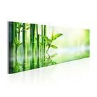 Arkiio Tavla Green Bamboo 150x50 A3-N6567-DK150