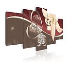 Arkiio Tavla Abstraction With Lily 5 pieces 200x100