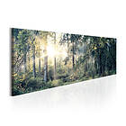 Arkiio Tavla Morning Magic 135x45 A3-N5862-DKX