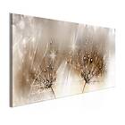 Arkiio Tavla Drops Of Dew Brown Narrow 120x40