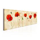 Arkiio Tavla Tears Of Poppies 135x45