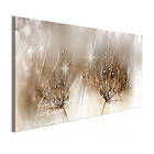 Arkiio Tavla Drops Of Dew Brown Narrow 150x50