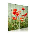 Arkiio Tavla Springtime 60x60 A3-N1941-60x60