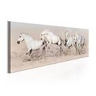 Arkiio Tavla Wild Beauty 150x50 A3-N6438-DK150