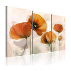 Arkiio Poppies triptych