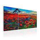 Arkiio Tavla Valley of Poppies 120x60