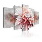 Arkiio Tavla Beautiful Lady 100x50 A3-N5627