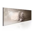 Arkiio Tavla Angelic Sweetness 150x50 A3-N6725-DK150