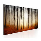 Arkiio Tavla Autumnal Fog 150x50 A3-N6536-DK150