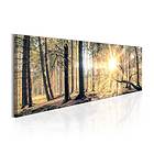 Arkiio Tavla Autumn Retreat 150x50 A3-N4421-DK150