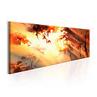 Arkiio Tavla Golden Forest 120x40 A3-N6662