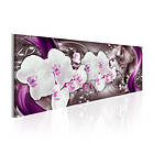 Arkiio Tavla Stellar Dance 150x50 A3-N4039-DK150