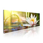 Arkiio Tavla Glow Lotus' 135x45 A3-N6215-DKX