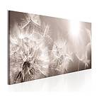 Arkiio Tavla Summer Dandelions 150x50 A3-N6530-DK150