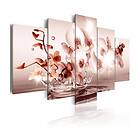 Arkiio Tavla Lyric Of Orchid 200x100