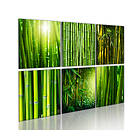 Arkiio Tavla Bamboo Has Many Faces 120x80
