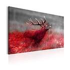 Arkiio Tavla Bloody Field 120x80 A3-N7063-DKX