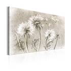 Arkiio Tavla Dandelions (Pencil Artwork) 120x80 A3-N6693-DK