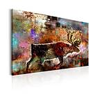 Arkiio Tavla Colourful Caribou 60x40 A3-N5927