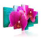 Arkiio Tavla Exotic Orchids 100x50 A3-N2354