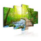 Arkiio Tavla Sunny Forest 200x100 A3-N3733-DKX