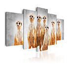 Arkiio Tavla Meerkats 100x50 A3-N3598