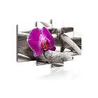 Arkiio Tavla Orchid On Beach 200x100