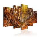 Arkiio Tavla Orange Autumn 100x50