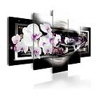 Arkiio Tavla Orchids On A Black Background 100x50