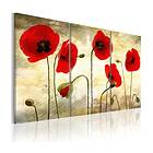 Arkiio Tavla Paper Thin Beauties 60x40